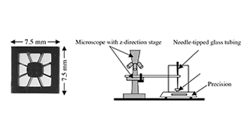 tini shape memory microvalves